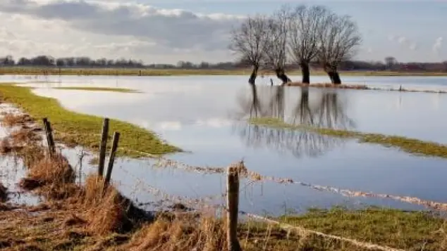 Landscape of water, trees and countryside